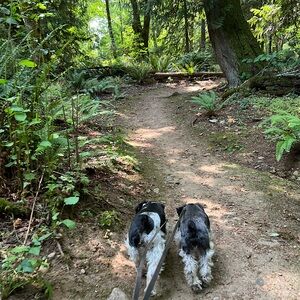 Meet your Posher, Jeanette